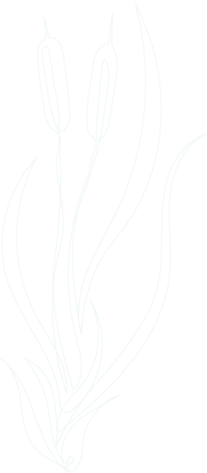 Cattail Stencil