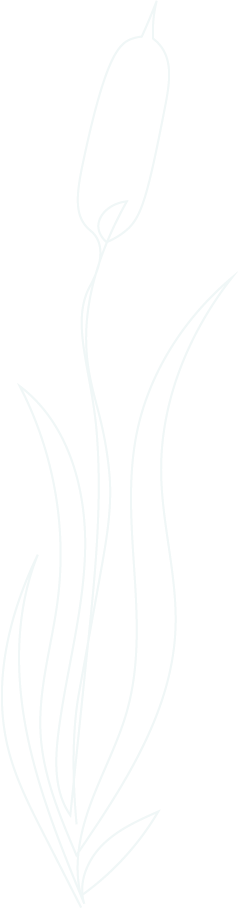 Cattail Stencil