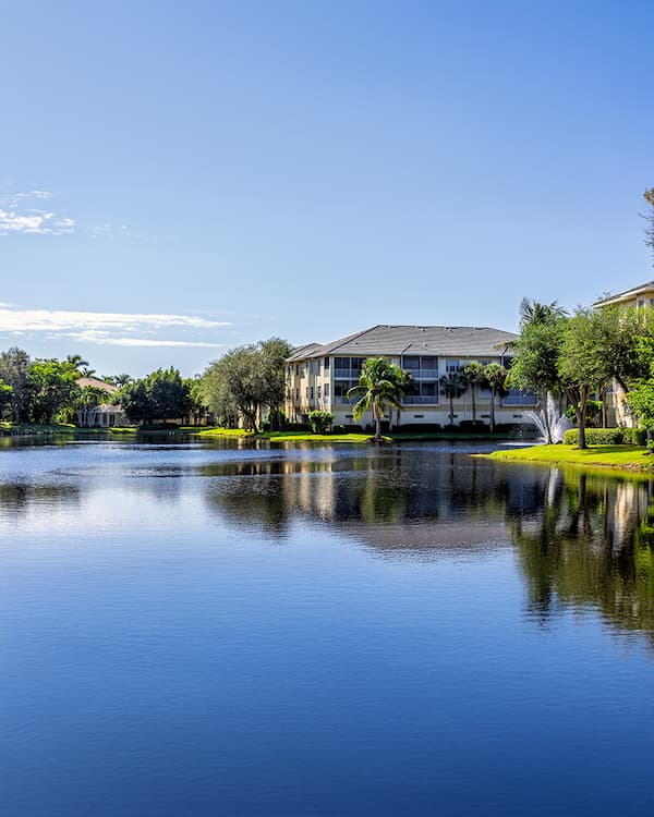 A clean neighborhood lake, beneficial bacteria
