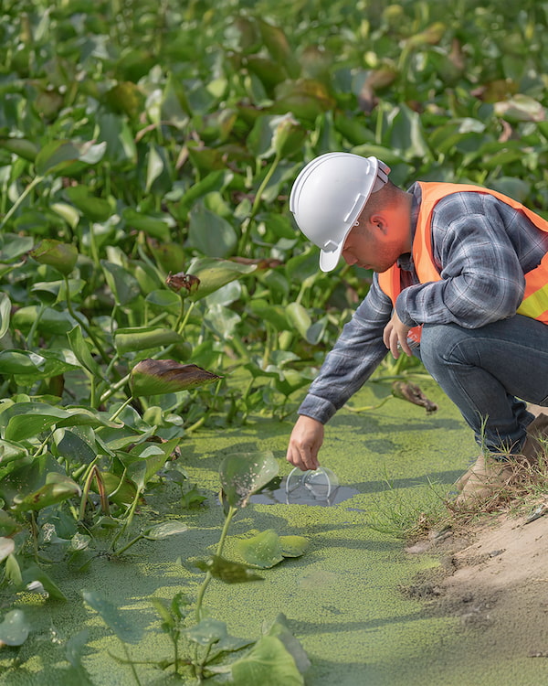 Man in safety gear conducting water testing in a pond surrounded by aquatic plants, emphasizing precision in pond management and environmental health.