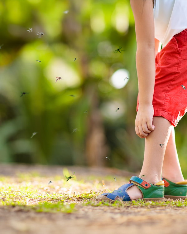 mosquito & midge control