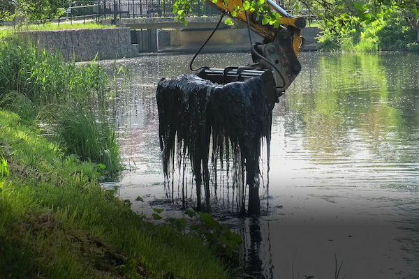 muck removal services