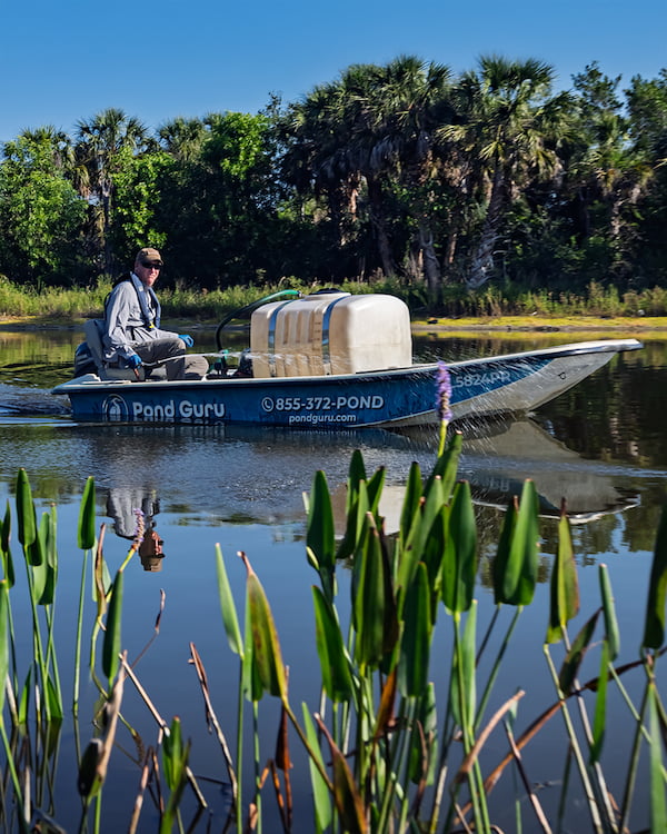 pond management services