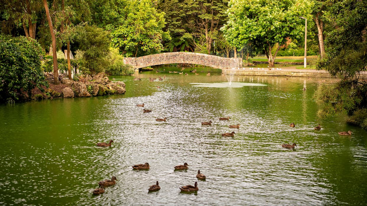 pond wilflife services, Nuisance species