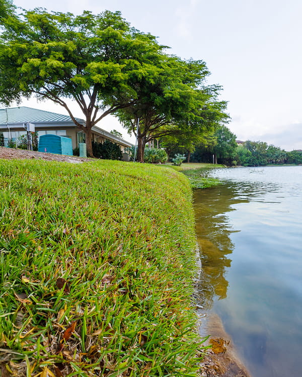 pond shoreline repair, Erosion Control