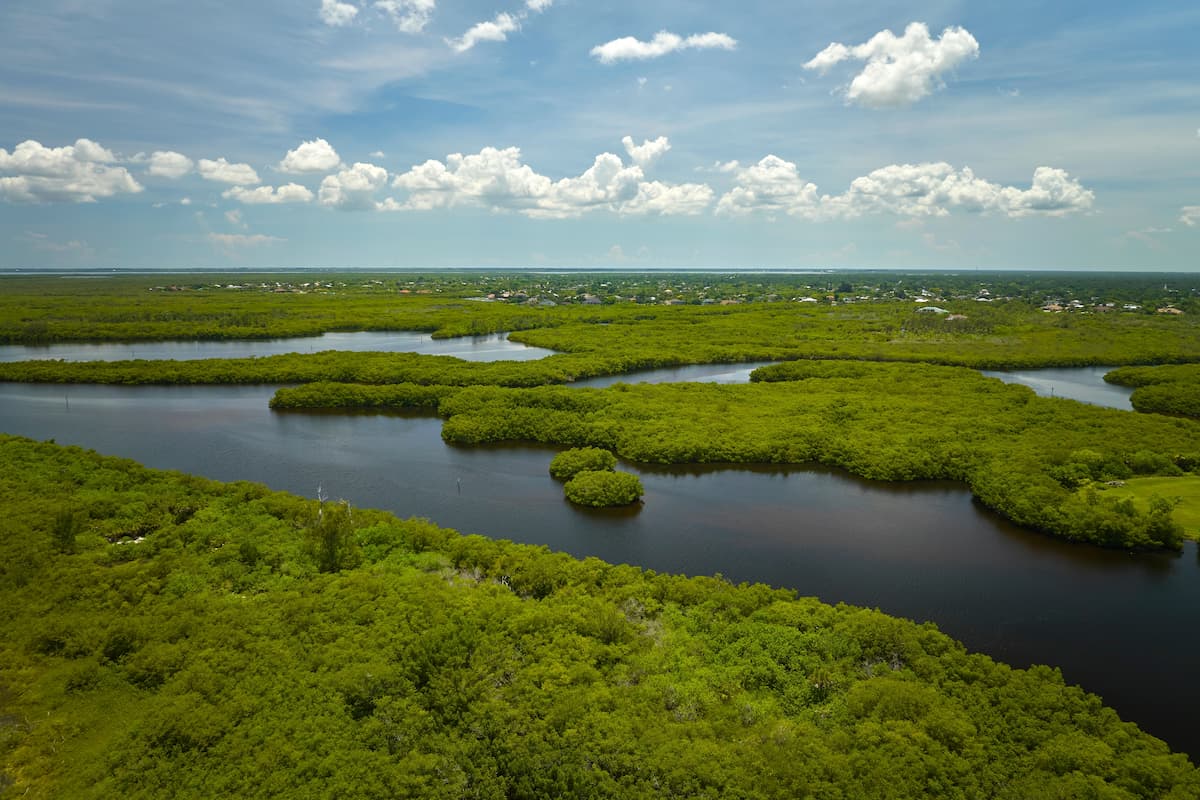how can we protect wetlands