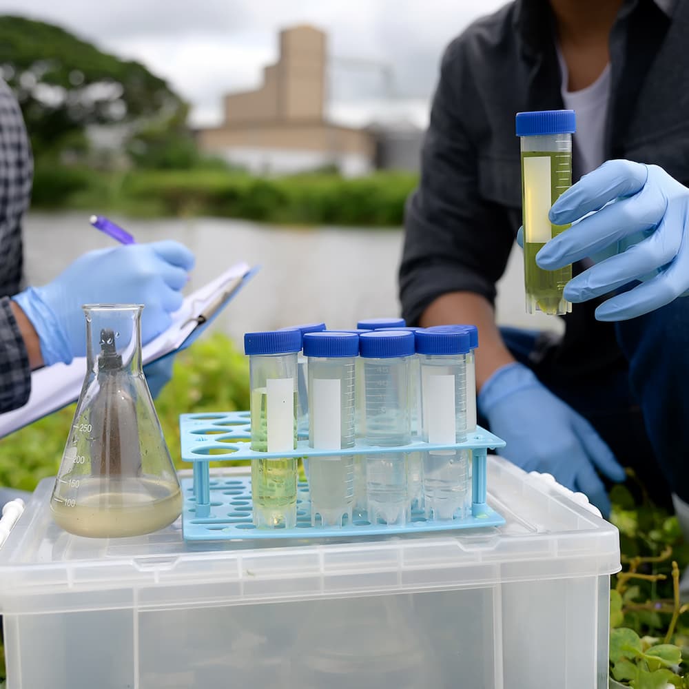 Featherline Water Testing Lake and Pond Water Testing Services - Pond Guru