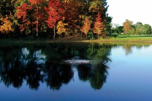 benefits of pond aeration