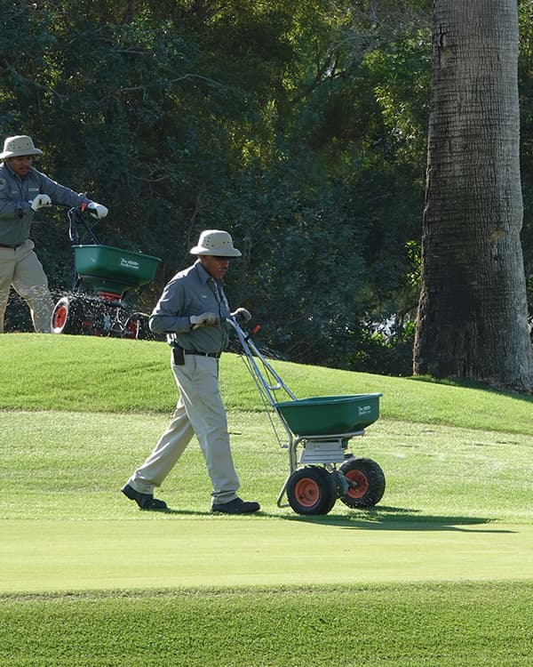 fertilizer algae control in ponds