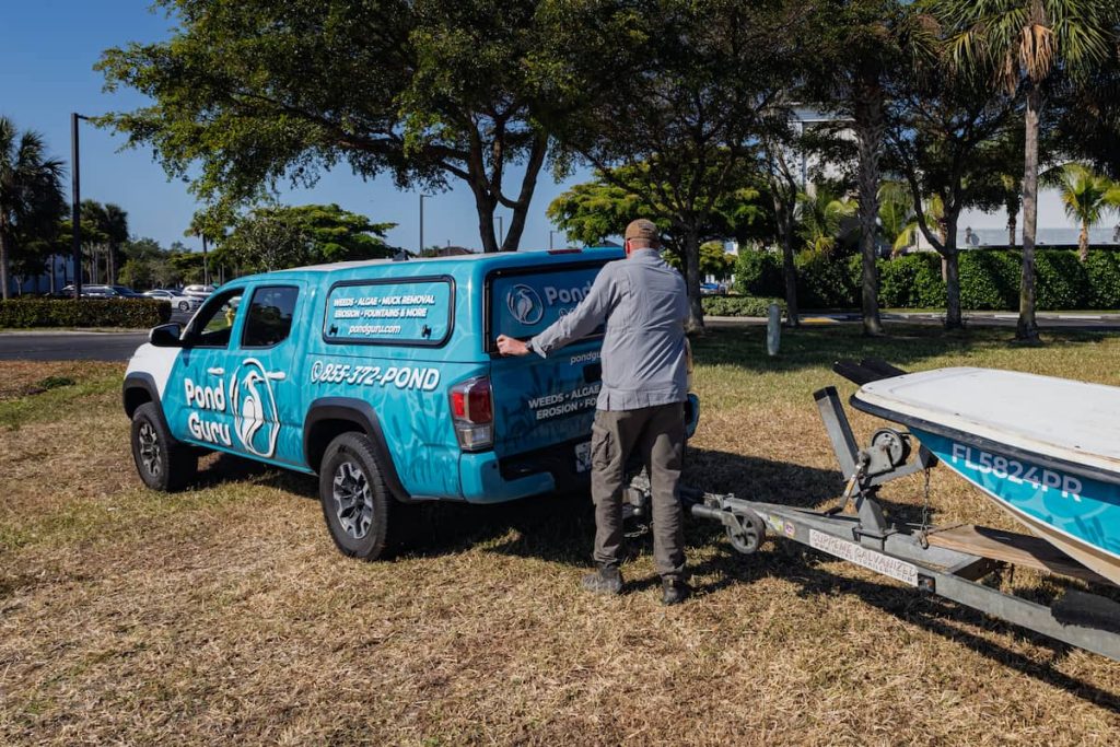 green pond water treatment