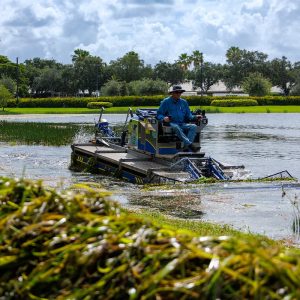 lake mosquito treatments in Florida