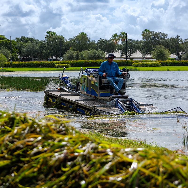 lake mosquito treatments in Florida