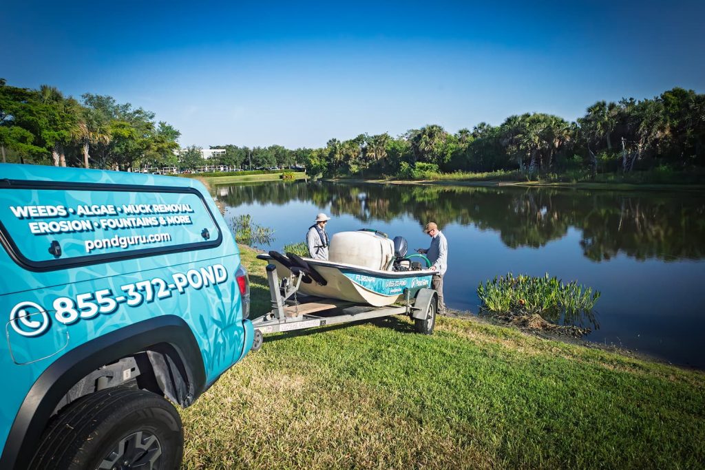 professional pond cleaning services with pond guru