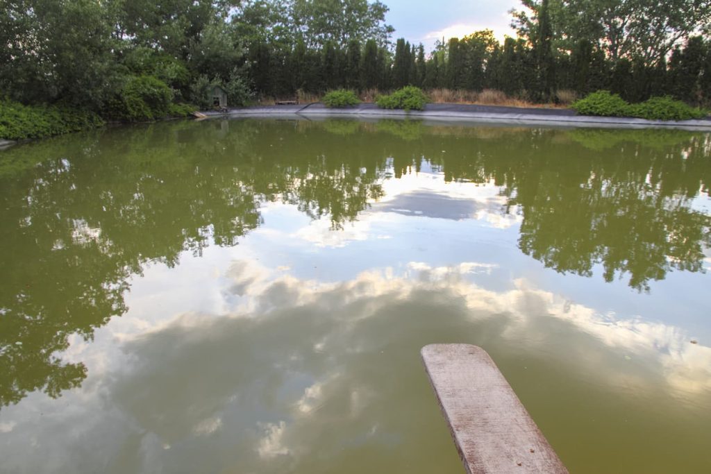 cloudy lake water in Florida
