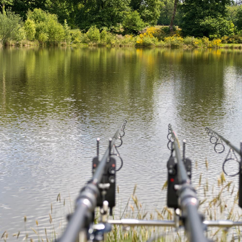 largemouth bass fish stocking
