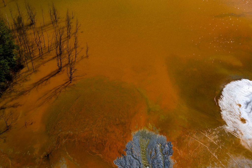 what makes pond water more turbid