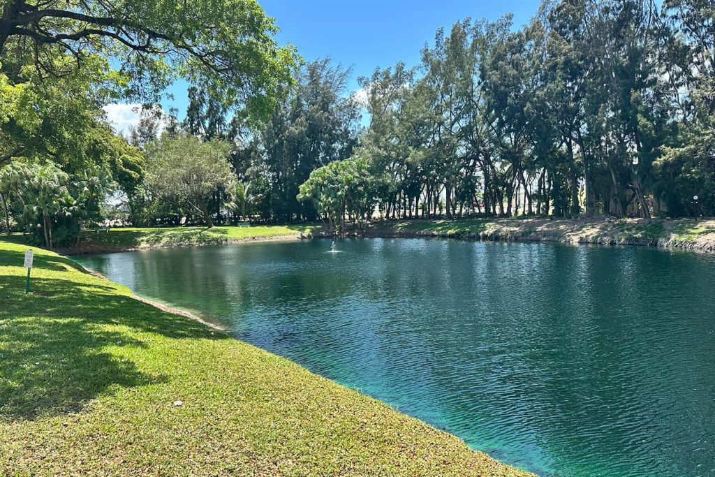 pond dye lake management services