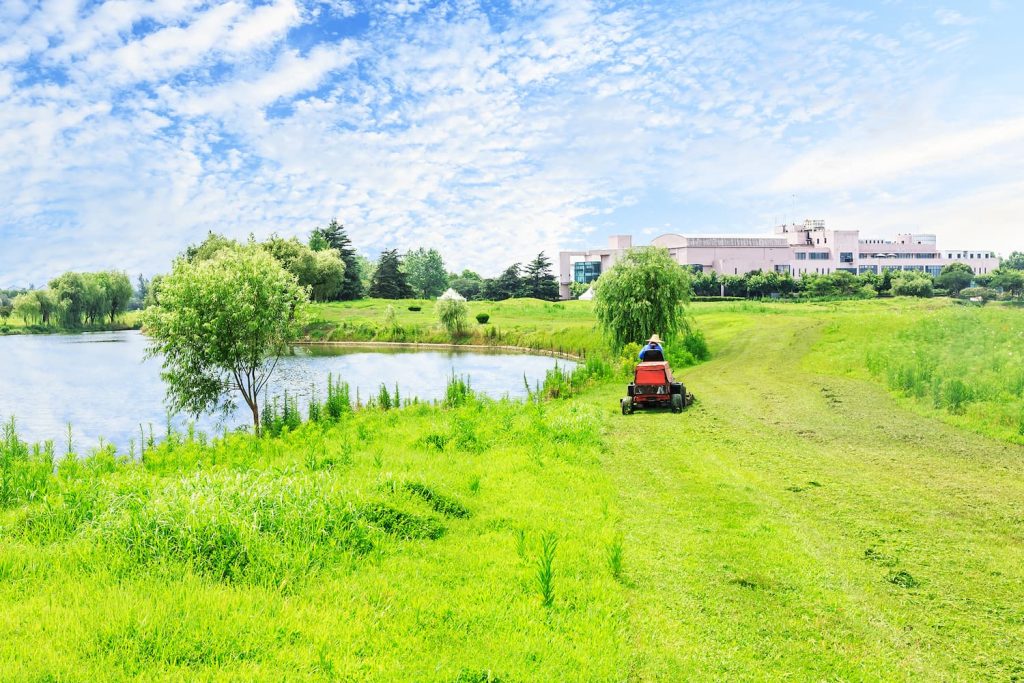 how fertilizer runoff destroys HOA lakes