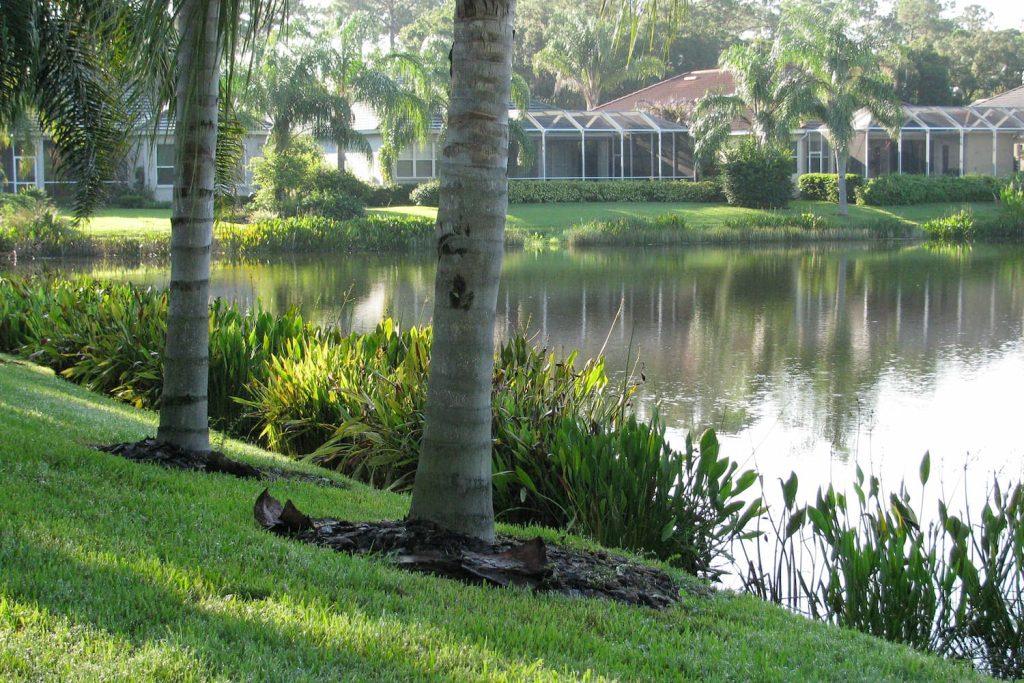 littoral planting in HOA lakes
