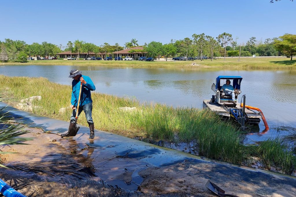 littoral plants for shoreline stabilization
