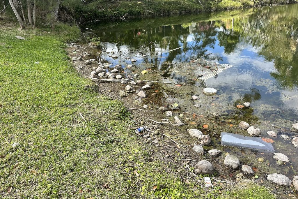 canal management services before