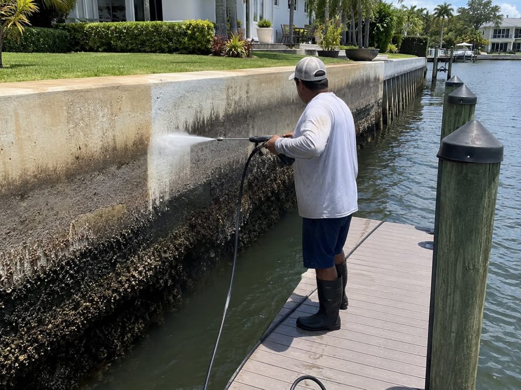 seawall cleaning services