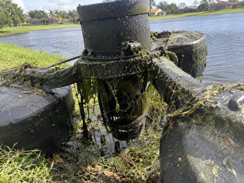 floating fountain cleaning